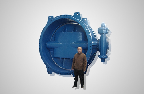上海水处理系统阀门球铁铸件，口径φ1000-φ4000